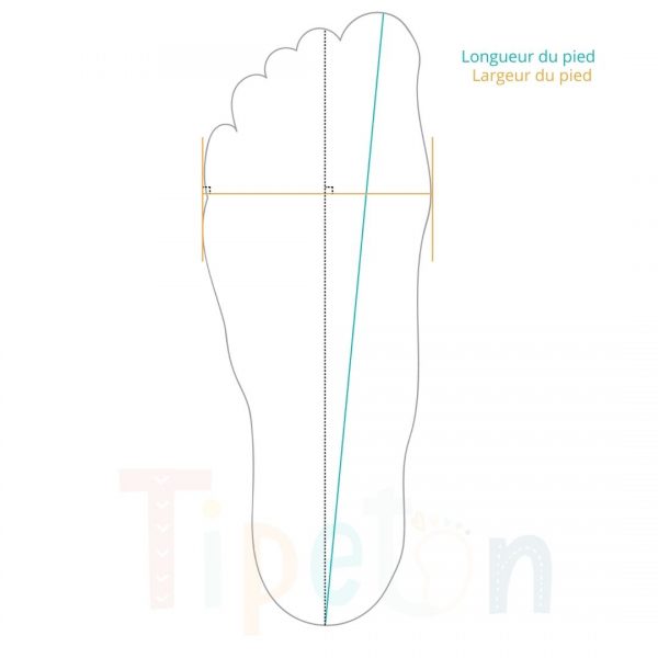 Règle de Mesure du Pied : Vie Pratique : NIDOSSORI